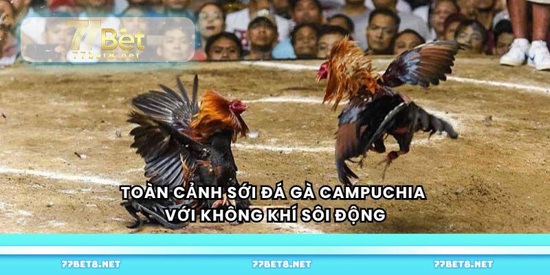 Toàn cảnh sới đá gà Campuchia với không khí sôi động