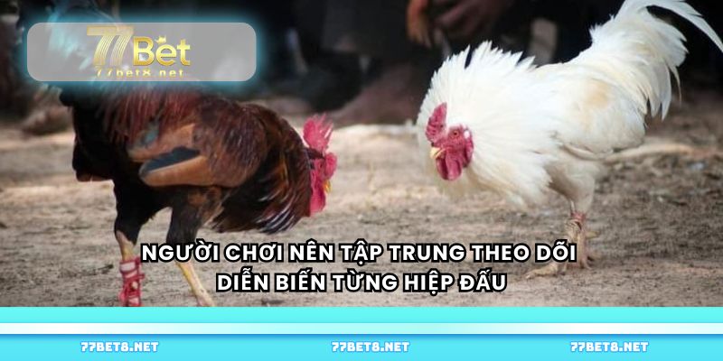 Người chơi nên tập trung theo dõi diễn biến từng hiệp đấu