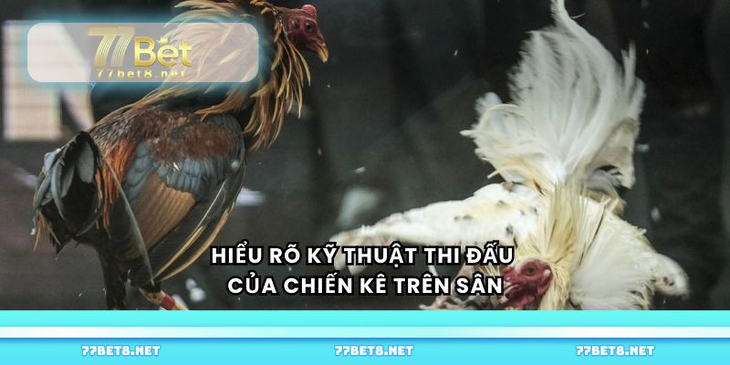 Hiểu rõ kỹ thuật thi đấu của chiến kê trên sân