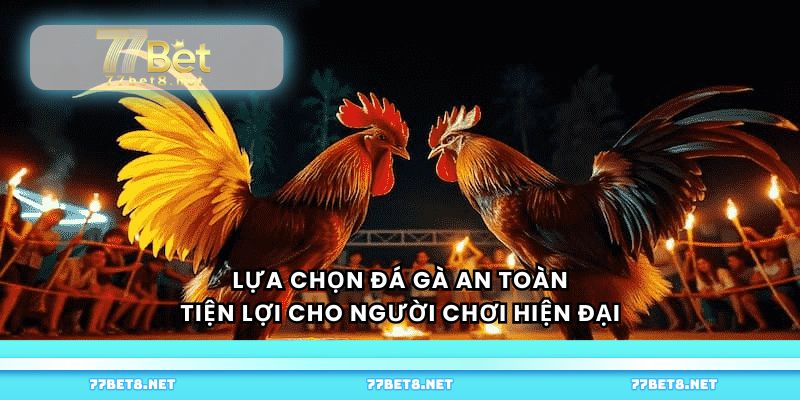 Lựa chọn đá gà an toàn, tiện lợi cho người chơi hiện đại