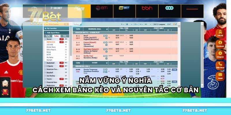 Nắm vững ý nghĩa, cách xem bảng kèo và nguyên tắc cơ bản