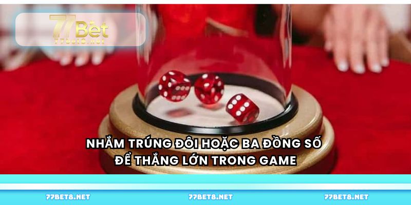 Nhắm trúng đôi hoặc ba đồng số để thắng lớn trong game