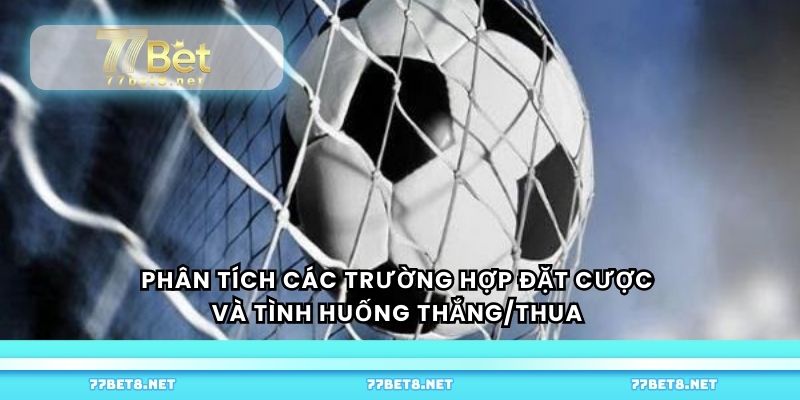 Phân tích các trường hợp đặt cược và tình huống thắng/thua