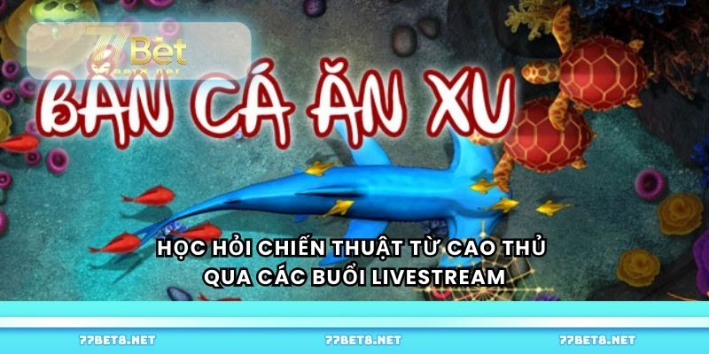 Học hỏi chiến thuật từ cao thủ qua các buổi livestream